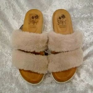 Fashion Slippers